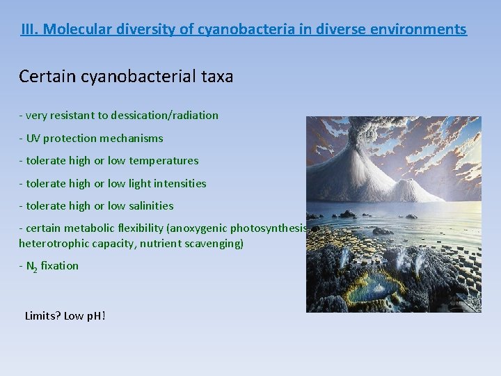 III. Molecular diversity of cyanobacteria in diverse environments Certain cyanobacterial taxa - very resistant
