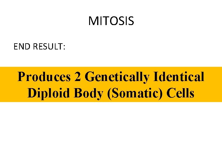 MITOSIS END RESULT: Produces 2 Genetically Identical Diploid Body (Somatic) Cells 