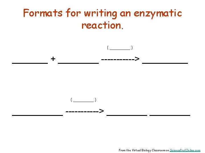 Formats for writing an enzymatic reaction. ( ____ ) _______ + ____ ------> _____