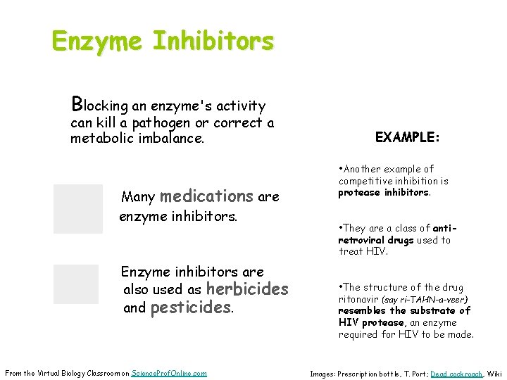 Enzyme Inhibitors Blocking an enzyme's activity can kill a pathogen or correct a metabolic