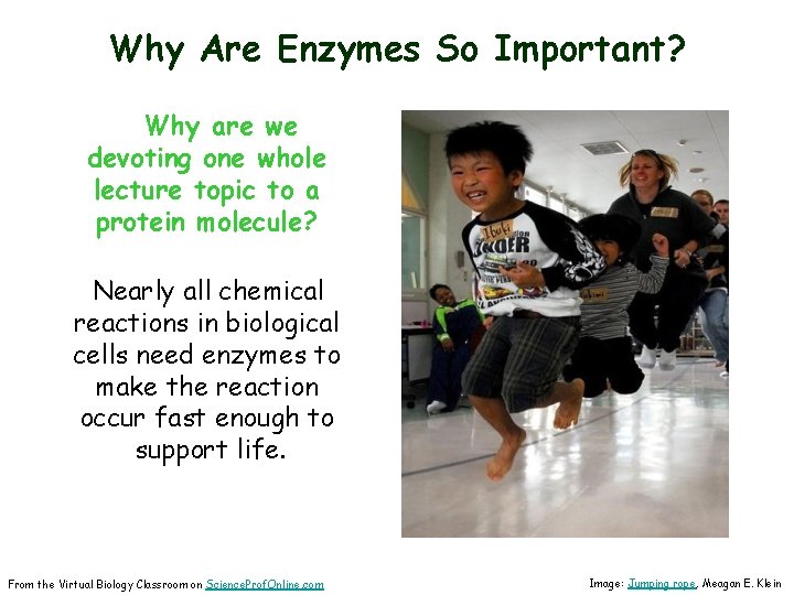 Why Are Enzymes So Important? Why are we devoting one whole lecture topic to