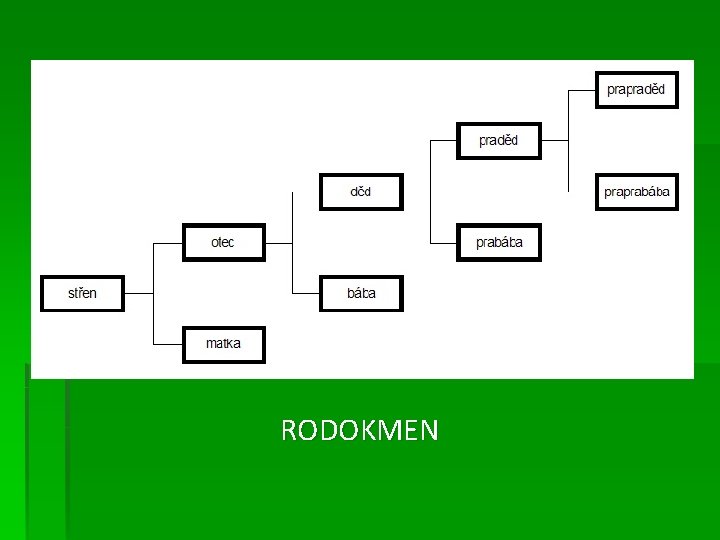 RODOKMEN 