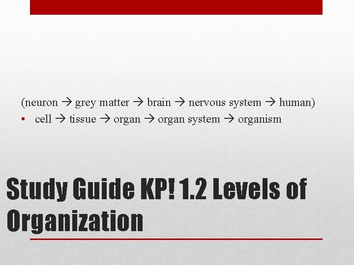 (neuron grey matter brain nervous system human) • cell tissue organ system organism Study