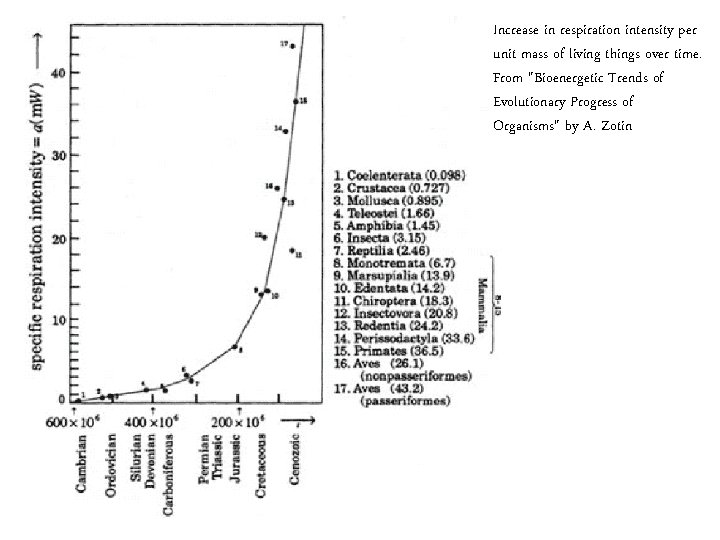 Increase in respiration intensity per unit mass of living things over time. From "Bioenergetic