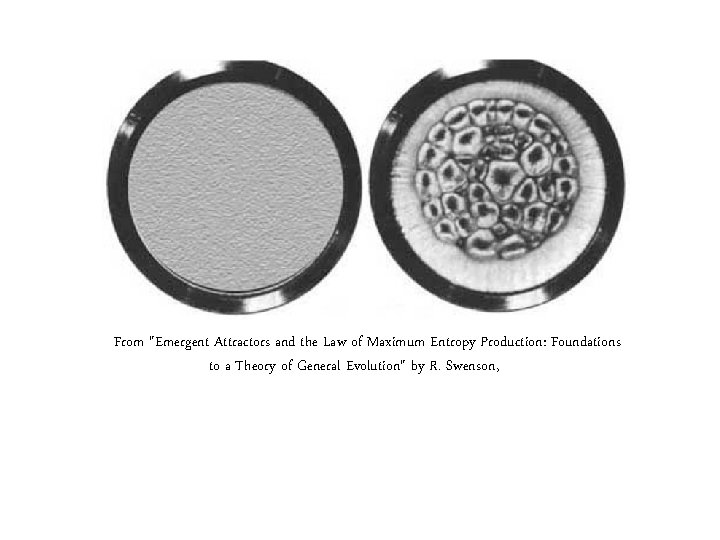 From "Emergent Attractors and the Law of Maximum Entropy Production: Foundations to a Theory