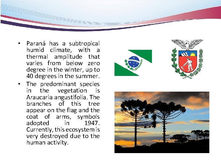 • Paraná has a subtropical humid climate, with a thermal amplitude that varies