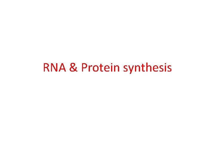 RNA & Protein synthesis 