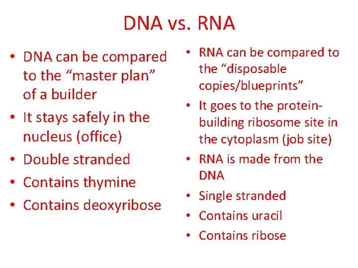 DNA vs. RNA • DNA can be compared to the “master plan” of a