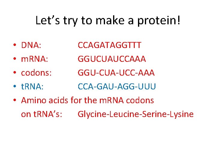 Let’s try to make a protein! • • • DNA: CCAGATAGGTTT m. RNA: GGUCUAUCCAAA