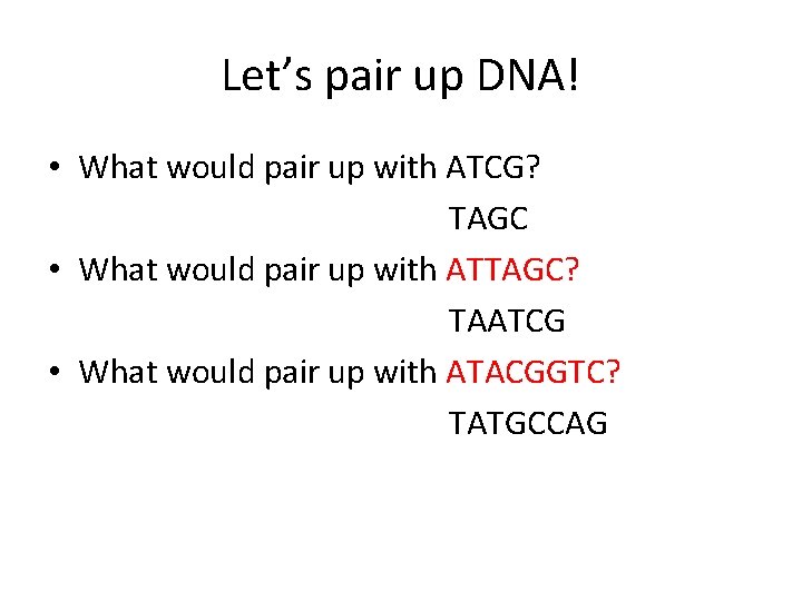 Let’s pair up DNA! • What would pair up with ATCG? TAGC • What