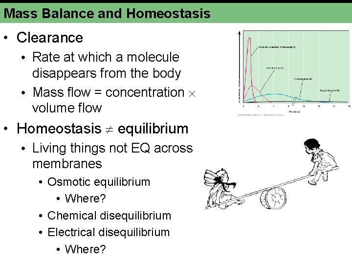 Mass Balance and Homeostasis • Clearance • Rate at which a molecule disappears from