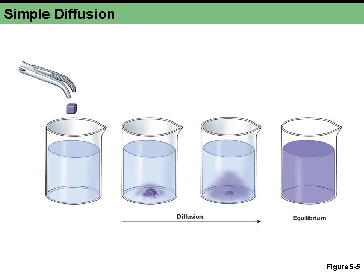 Simple Diffusion Figure 5 -5 