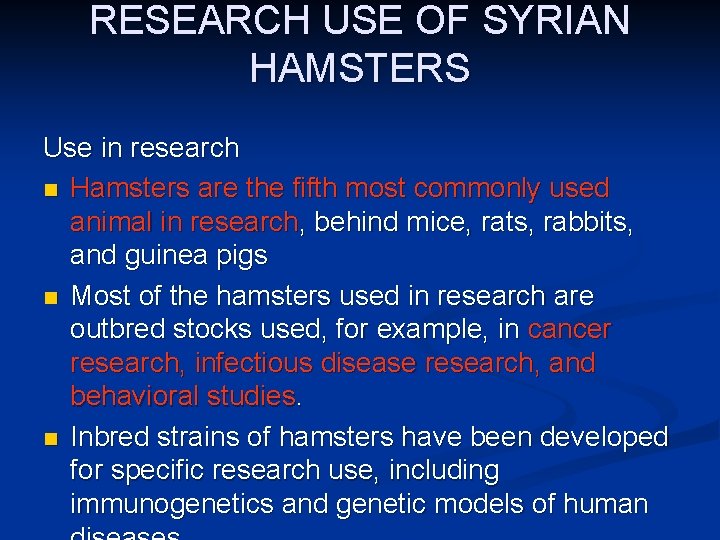 RESEARCH USE OF SYRIAN HAMSTERS Use in research n Hamsters are the fifth most