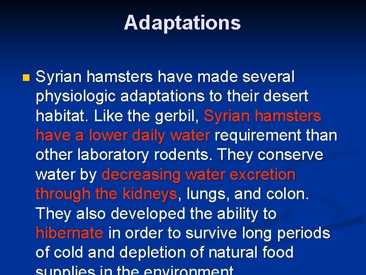 Adaptations n Syrian hamsters have made several physiologic adaptations to their desert habitat. Like