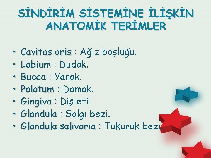 SİNDİRİM SİSTEMİNE İLİŞKİN ANATOMİK TERİMLER • • Cavitas oris : Ağız boşluğu. Labium :