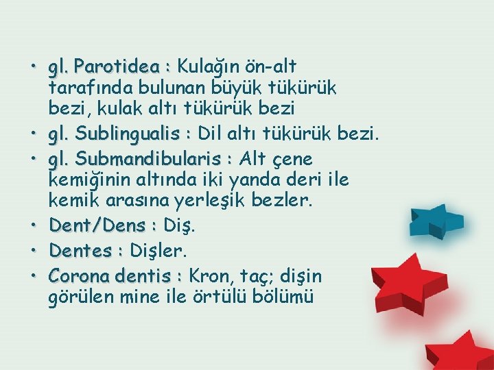  • gl. Parotidea : Kulağın ön-alt tarafında bulunan büyük tükürük bezi, kulak altı