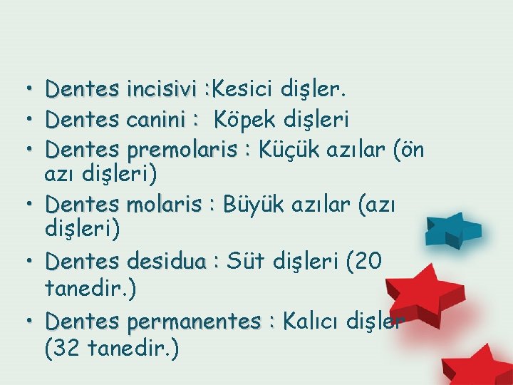  • • • Dentes incisivi : Kesici dişler. : Dentes canini : Köpek