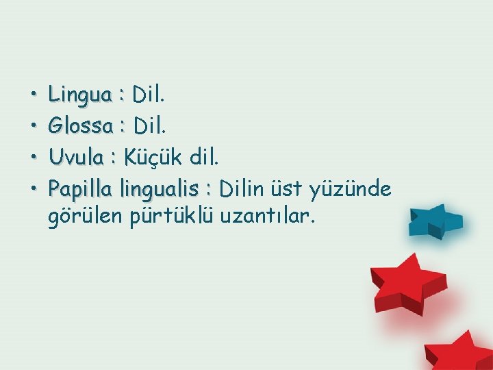  • • Lingua : Dil. Glossa : Dil. Uvula : Küçük dil. Papilla