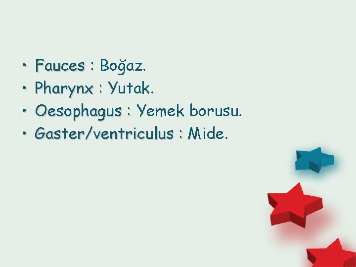  • • Fauces : Boğaz. Pharynx : Yutak. Oesophagus : Yemek borusu. Gaster/ventriculus