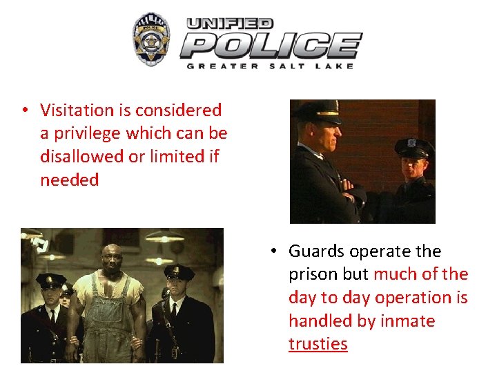  • Visitation is considered a privilege which can be disallowed or limited if