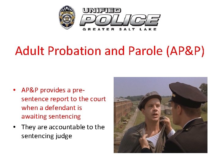 Adult Probation and Parole (AP&P) • AP&P provides a presentence report to the court