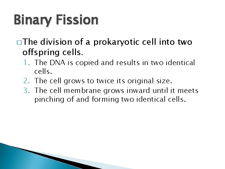 Binary Fission � The division of a prokaryotic cell into two offspring cells. 1.