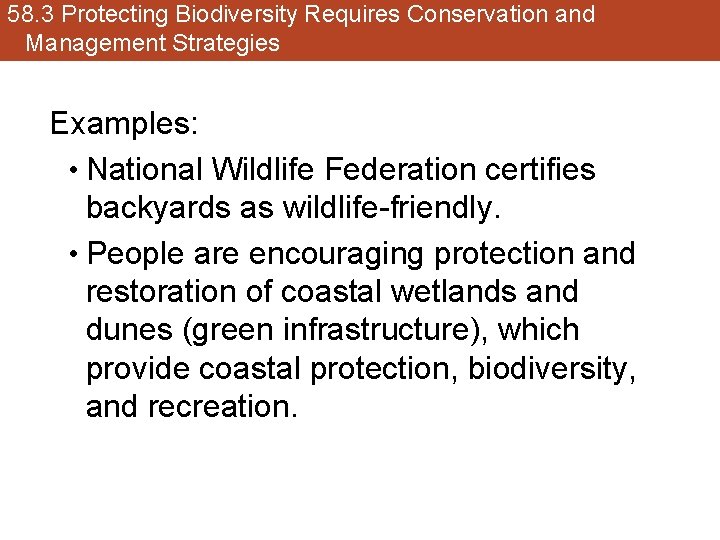 58. 3 Protecting Biodiversity Requires Conservation and Management Strategies Examples: • National Wildlife Federation