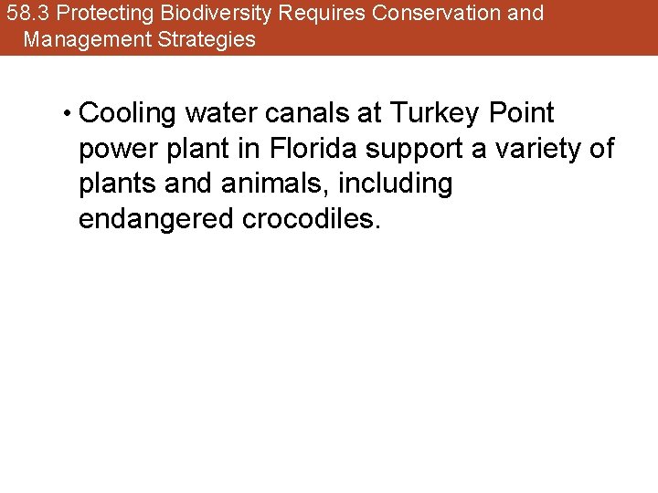 58. 3 Protecting Biodiversity Requires Conservation and Management Strategies • Cooling water canals at