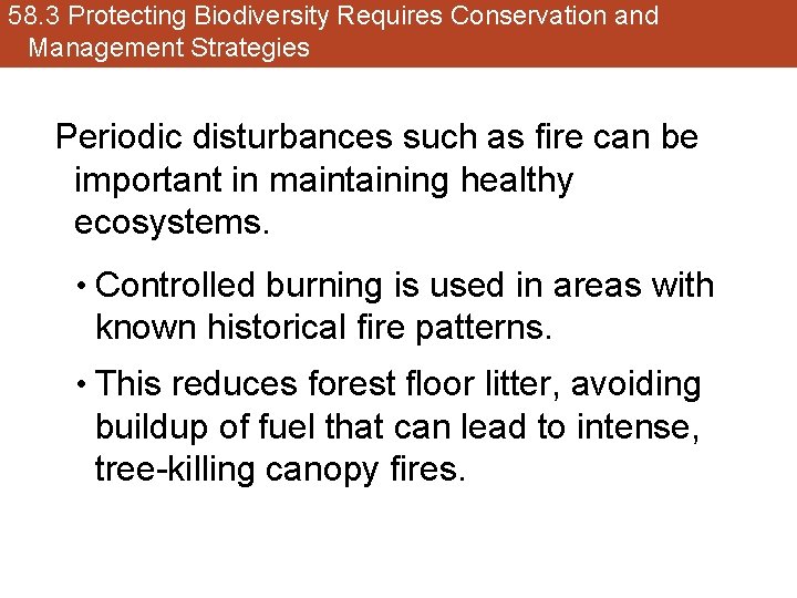 58. 3 Protecting Biodiversity Requires Conservation and Management Strategies Periodic disturbances such as fire