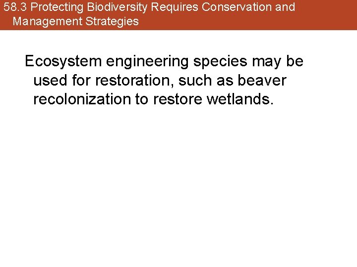 58. 3 Protecting Biodiversity Requires Conservation and Management Strategies Ecosystem engineering species may be
