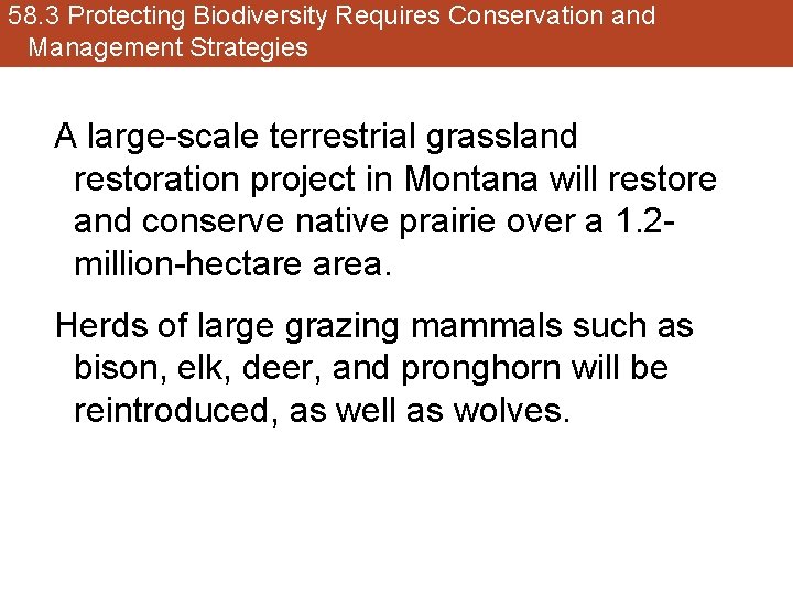 58. 3 Protecting Biodiversity Requires Conservation and Management Strategies A large-scale terrestrial grassland restoration