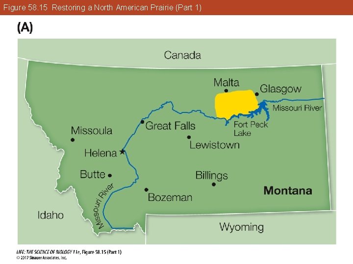 Figure 58. 15 Restoring a North American Prairie (Part 1) 