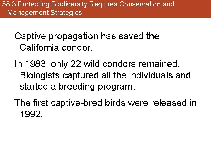 58. 3 Protecting Biodiversity Requires Conservation and Management Strategies Captive propagation has saved the