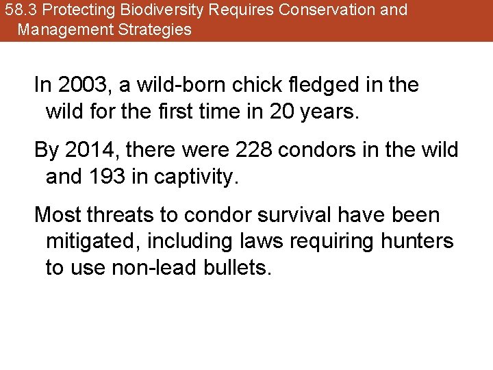 58. 3 Protecting Biodiversity Requires Conservation and Management Strategies In 2003, a wild-born chick