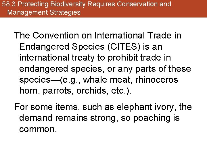 58. 3 Protecting Biodiversity Requires Conservation and Management Strategies The Convention on International Trade