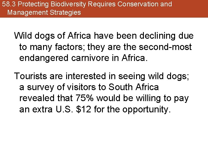 58. 3 Protecting Biodiversity Requires Conservation and Management Strategies Wild dogs of Africa have
