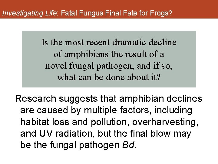 Investigating Life: Fatal Fungus Final Fate for Frogs? Is the most recent dramatic decline
