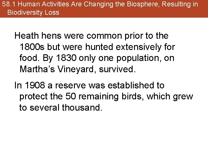 58. 1 Human Activities Are Changing the Biosphere, Resulting in Biodiversity Loss Heath hens