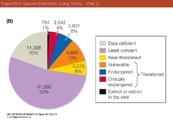 Figure 58. 3 Species Extinctions: Going, Going… (Part 2) 