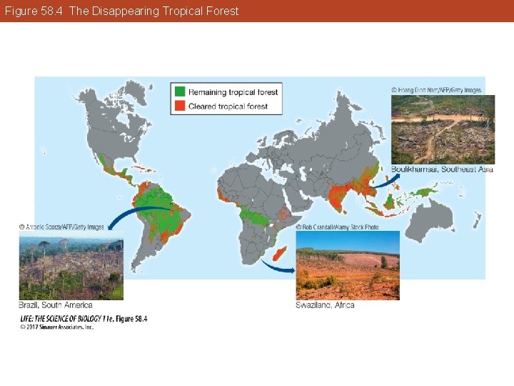Figure 58. 4 The Disappearing Tropical Forest 
