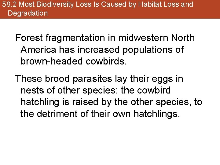 58. 2 Most Biodiversity Loss Is Caused by Habitat Loss and Degradation Forest fragmentation