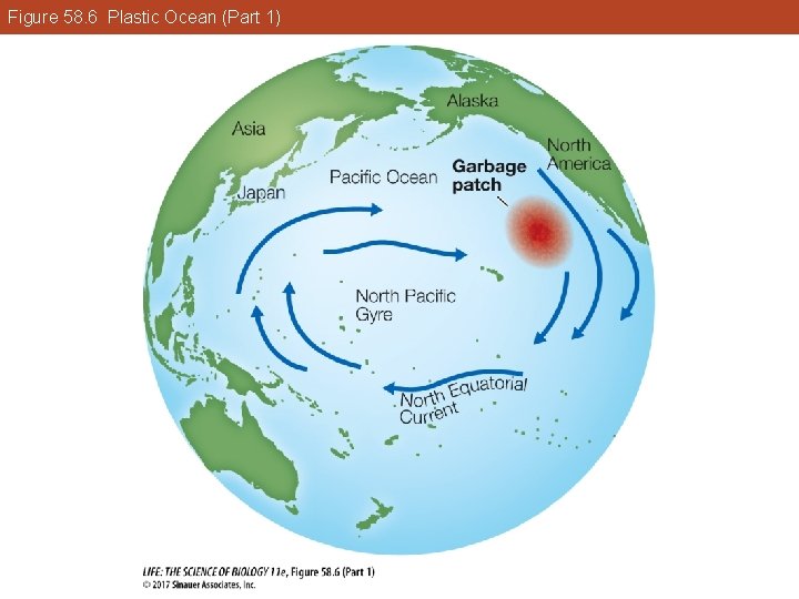 Figure 58. 6 Plastic Ocean (Part 1) 