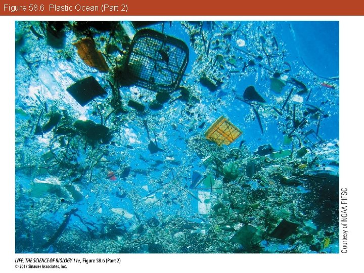 Figure 58. 6 Plastic Ocean (Part 2) 
