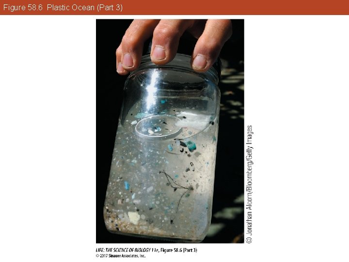 Figure 58. 6 Plastic Ocean (Part 3) 
