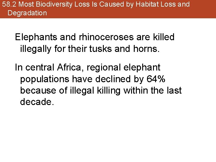 58. 2 Most Biodiversity Loss Is Caused by Habitat Loss and Degradation Elephants and