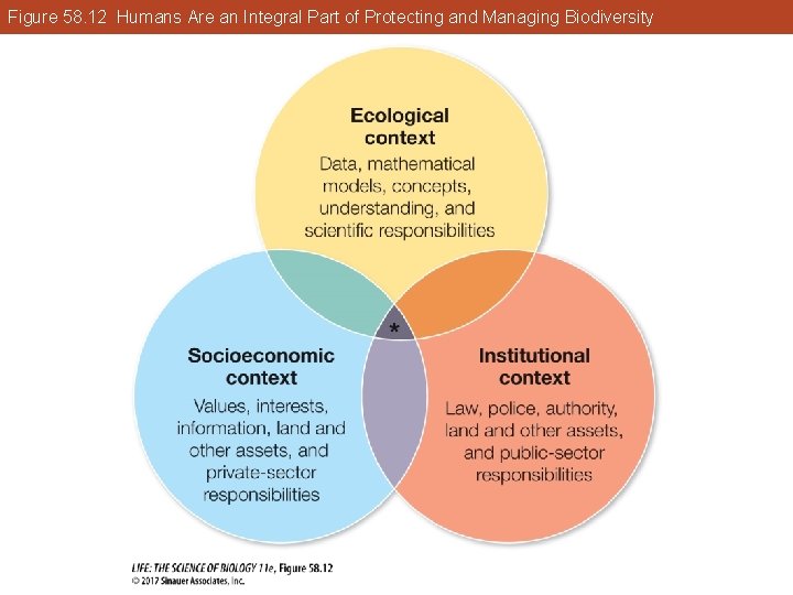 Figure 58. 12 Humans Are an Integral Part of Protecting and Managing Biodiversity 