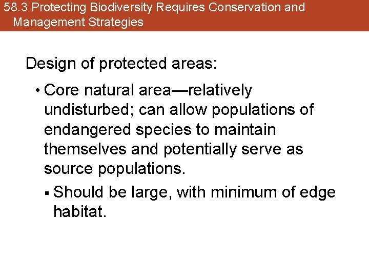 58. 3 Protecting Biodiversity Requires Conservation and Management Strategies Design of protected areas: •
