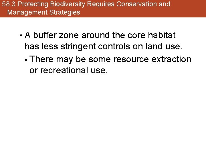 58. 3 Protecting Biodiversity Requires Conservation and Management Strategies • A buffer zone around