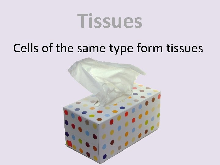 Tissues Cells of the same type form tissues 