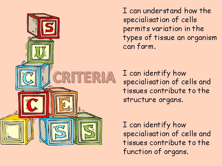 I can understand how the specialisation of cells permits variation in the types of